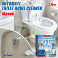 Deep Action Foaming Toilet Cleaner Powder