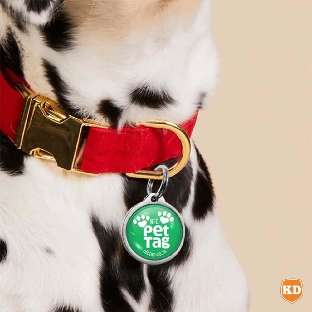 NFC Lost Pet Tag- Tap to WhatsApp