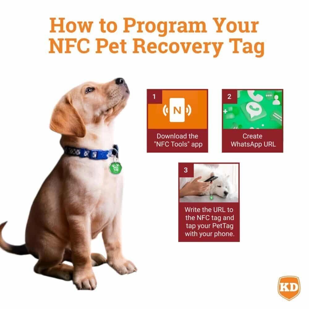 NFC Lost Pet Tag- Tap to WhatsApp