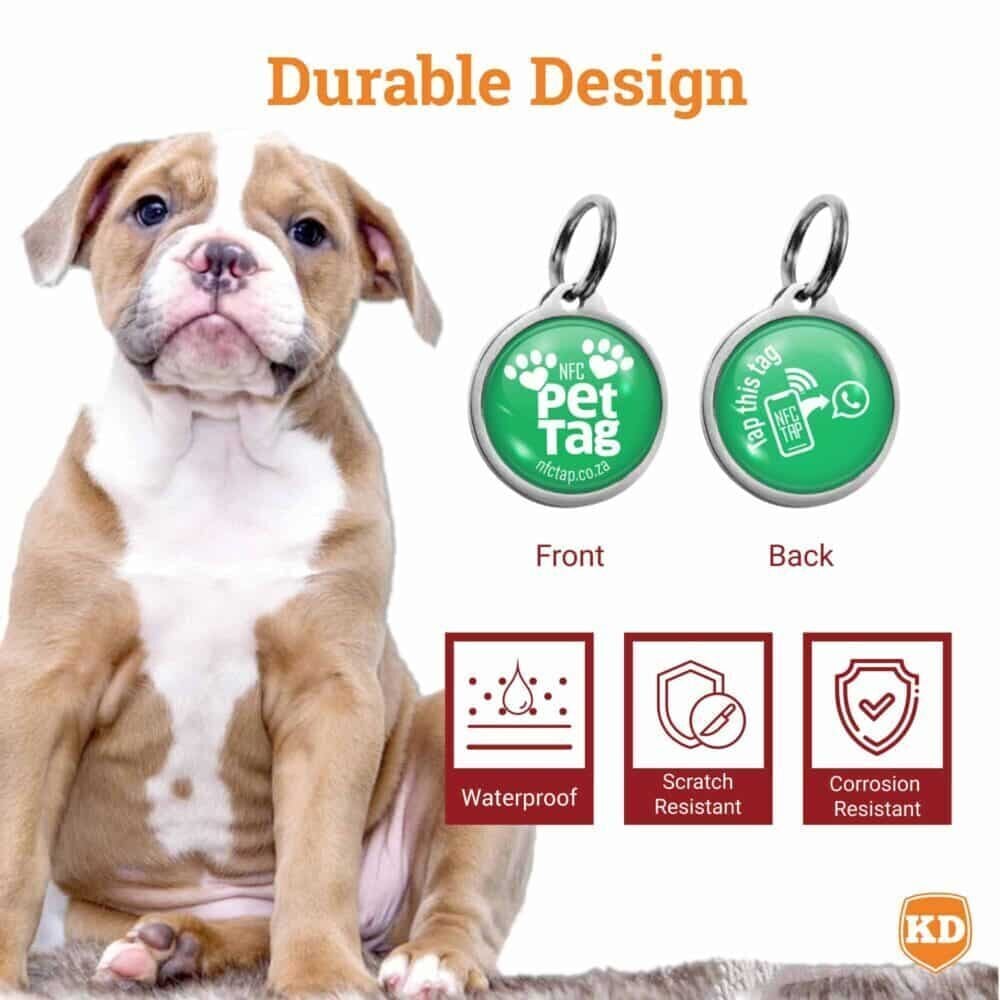 NFC Lost Pet Tag- Tap to WhatsApp