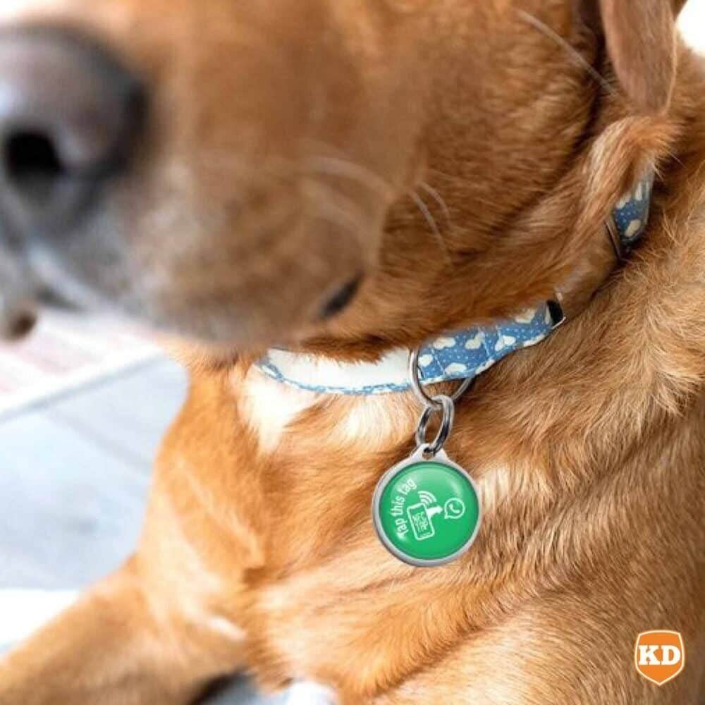 NFC Lost Pet Tag- Tap to WhatsApp