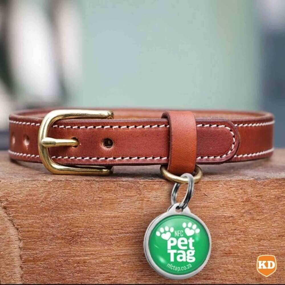 NFC Lost Pet Tag- Tap to WhatsApp